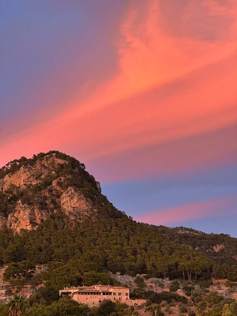Idylic Finca Amidst Valldemossa's Olive Groves - Valdemossa, Mallorca, Spain