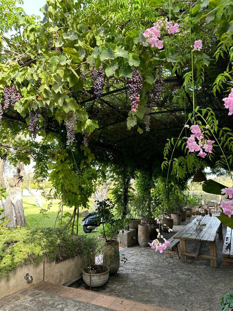 Idylic Finca Amidst Valldemossa's Olive Groves - Valdemossa, Mallorca, Spain