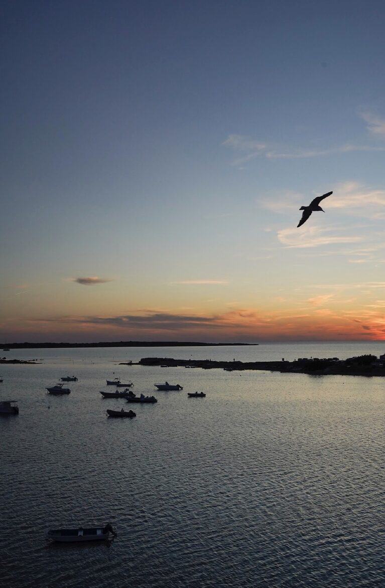 Estancia Cielo Sunset Penthouse - Puerto de la Savina, Formentera, Spain