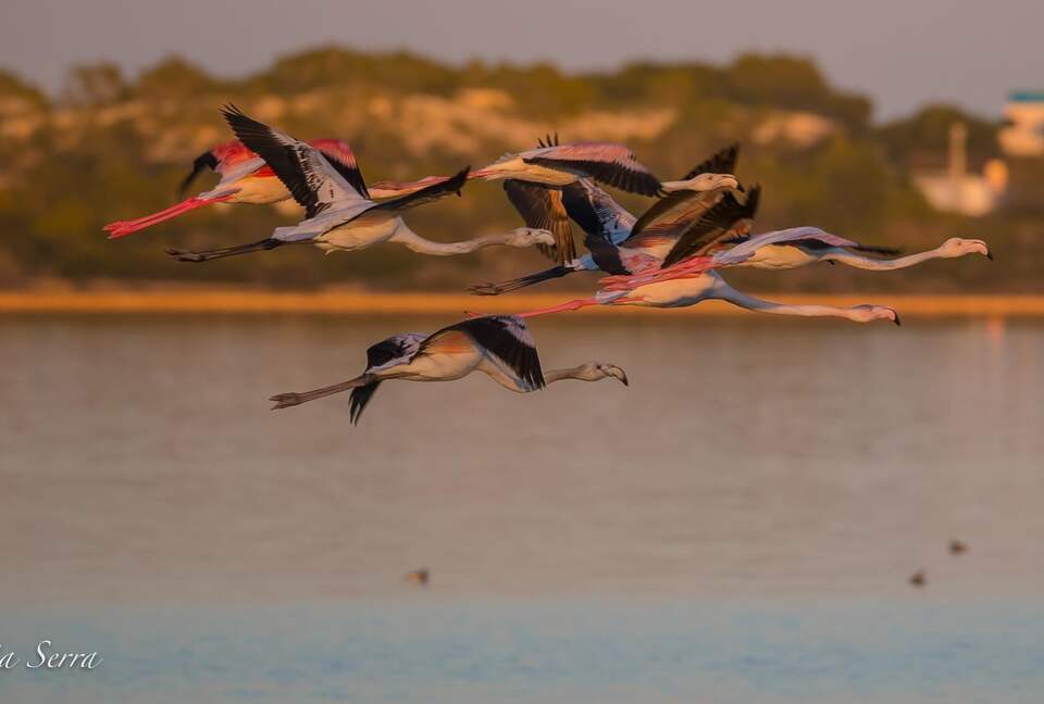 Estancia Cielo Sunset Penthouse - Puerto de la Savina, Formentera, Spain