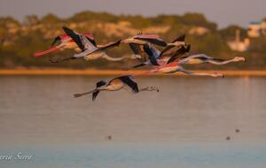Estancia Cielo Sunset Penthouse - Puerto de la Savina, Formentera, Spain