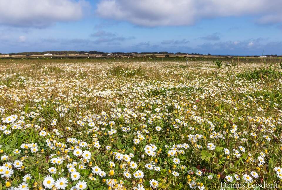 Luna Studios by the Lagoon - Puerto de la Savina, Formentera, Spain
