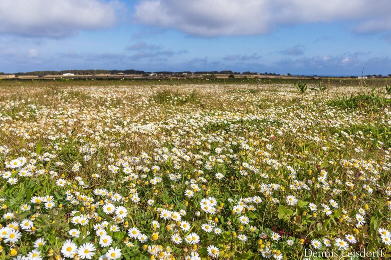 Luna Studios by the Lagoon - Puerto de la Savina, Formentera, Spain