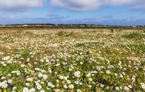 Luna Studios by the Lagoon - Puerto de la Savina, Formentera, Spain
