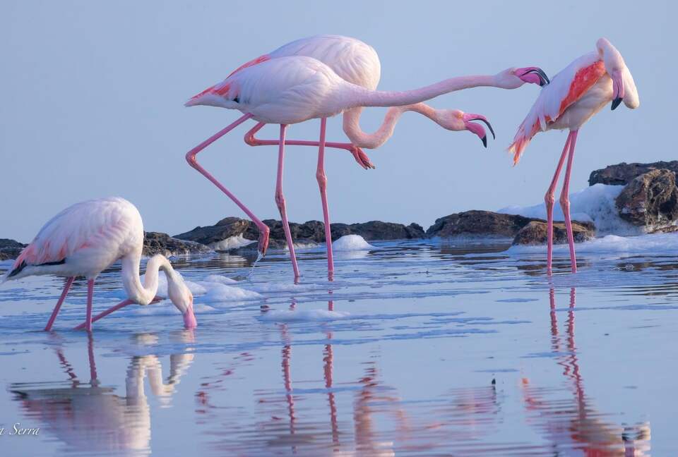 Luna Studios by the Lagoon - Puerto de la Savina, Formentera, Spain