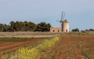 Luna Studios by the Lagoon - Puerto de la Savina, Formentera, Spain