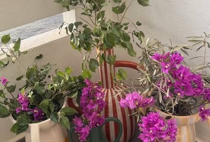 Luna Studios by the Lagoon | Sea Front - Puerto de la Savina, Formentera, Spain