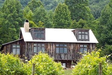 The Vineyard at Betty's Creek - Sylva, North Carolina