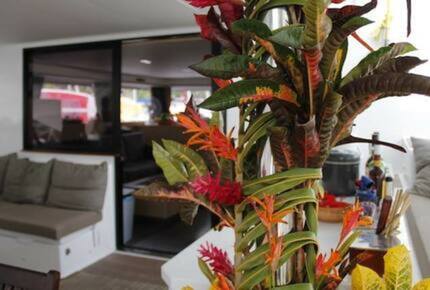 All-Inclusive 7-night TradeWinds AQUA Experience in Abacos on TW60 Catamaran with Crew - Abacos, Bahamas