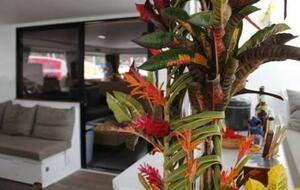 All-Inclusive 7-night TradeWinds AQUA Experience in Abacos on TW60 Catamaran with Crew - Abacos, Bahamas