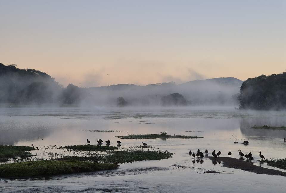 A Contemporary Forest Retreat in São Roque - São Roque, Brazil
