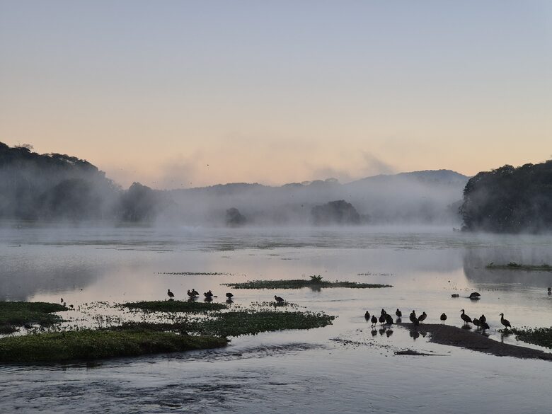 A Contemporary Forest Retreat in São Roque - São Roque, Brazil