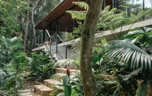 A Contemporary Forest Retreat in São Roque - São Roque, Brazil