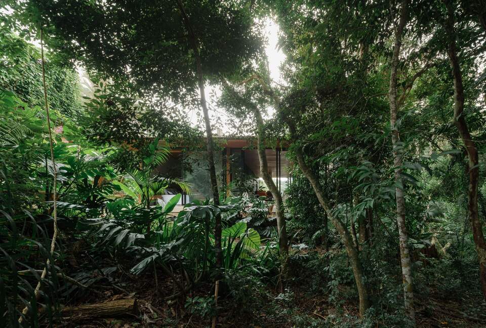 A Contemporary Forest Retreat in São Roque - São Roque, Brazil