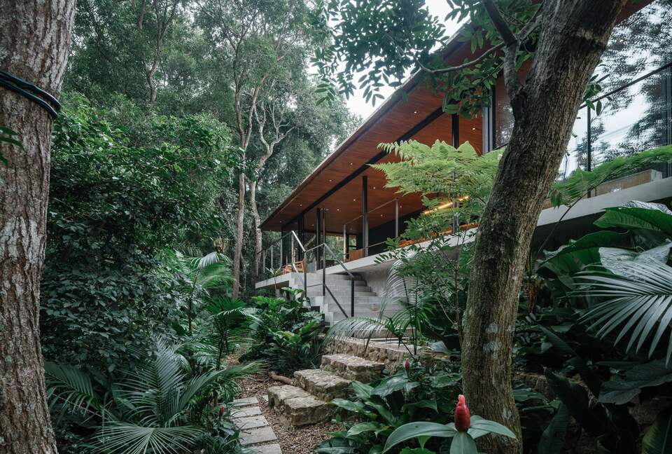 A Contemporary Forest Retreat in São Roque - São Roque, Brazil