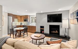 Cozy Mountain Studio at Aspen Alps - Aspen, Colorado