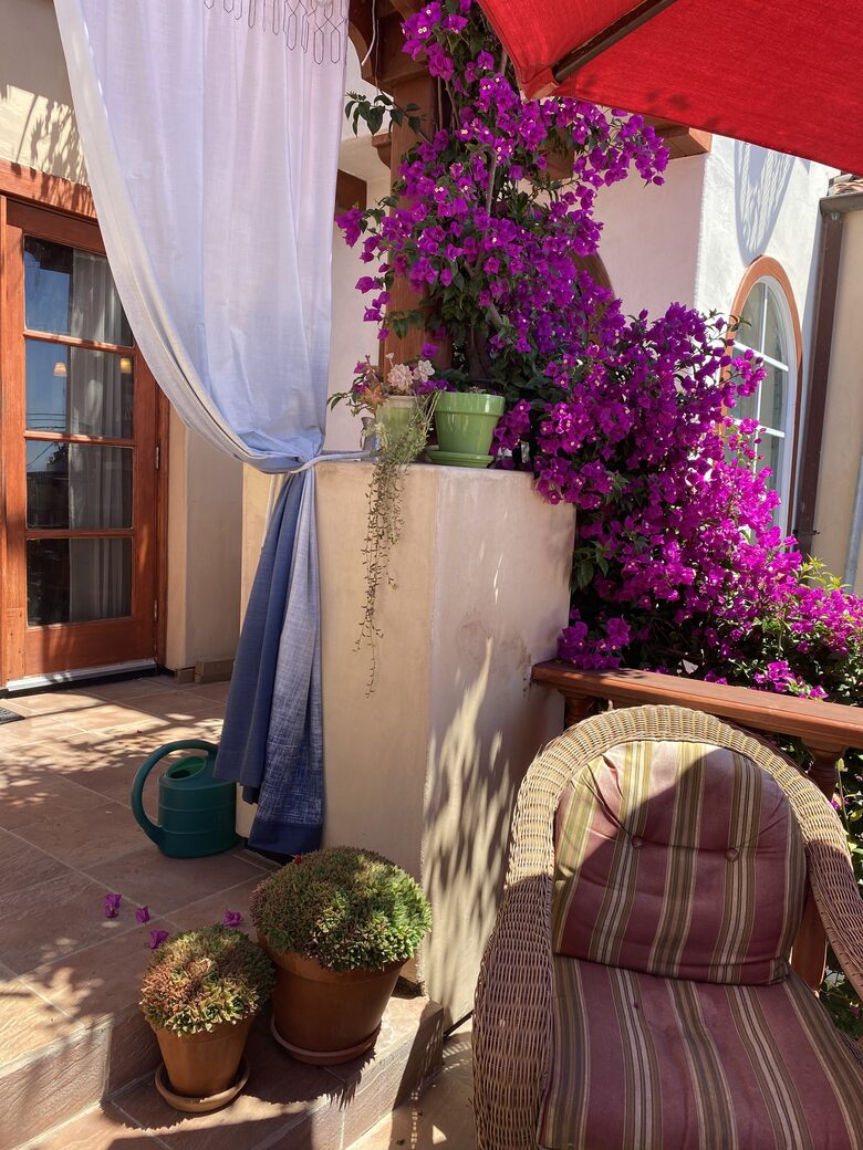 Golden Gate and San Francisco Bay Views Above Berkeley - Berkeley, California