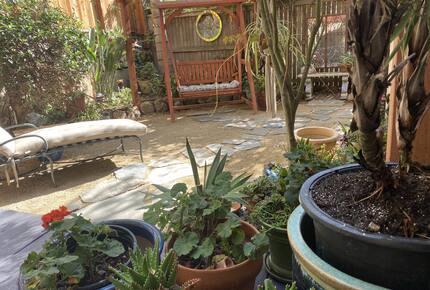 Golden Gate and San Francisco Bay Views Above Berkeley - Berkeley, California