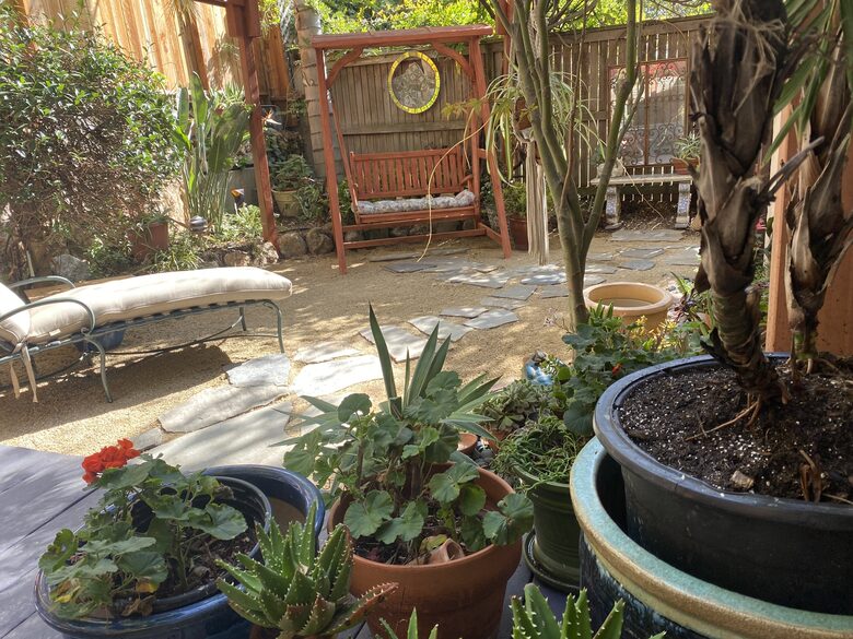 Golden Gate and San Francisco Bay Views Above Berkeley - Berkeley, California