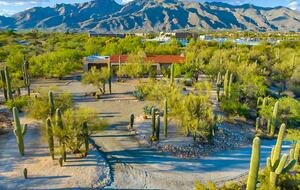 Catalina Foothills Desert Sanctuary - Tucson, Arizona