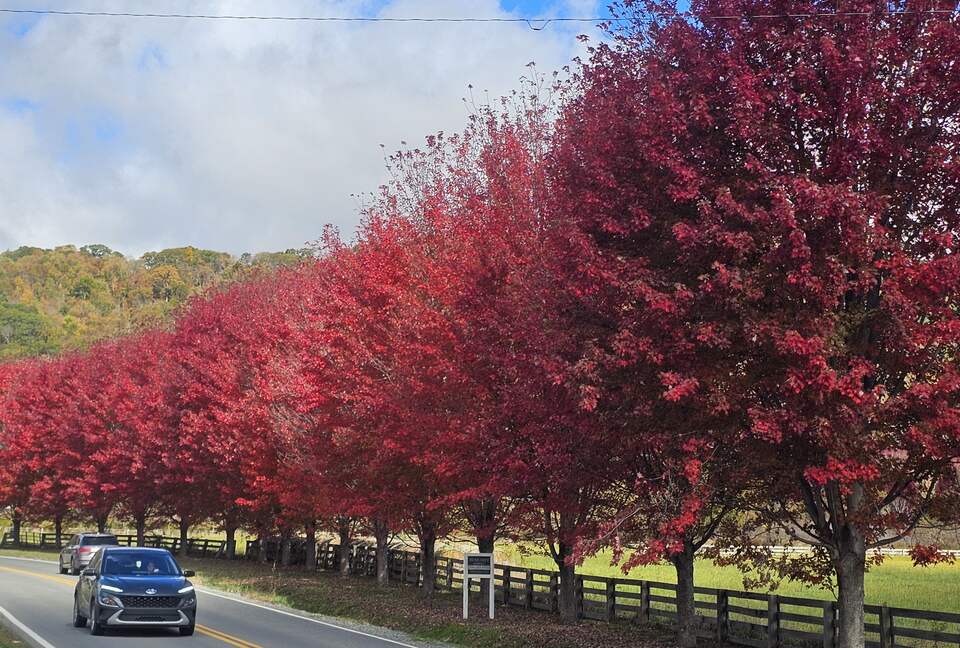 Banner Elk - fall colors