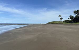 The beach in front of the property, looking North
