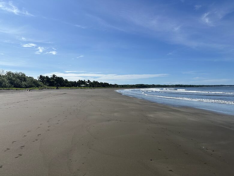 The beach in front of the property, looking South