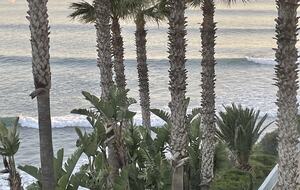 Oceanfront Living Above Baja’s Iconic K-38 Surf Break - Playas de Rosarito, Mexico