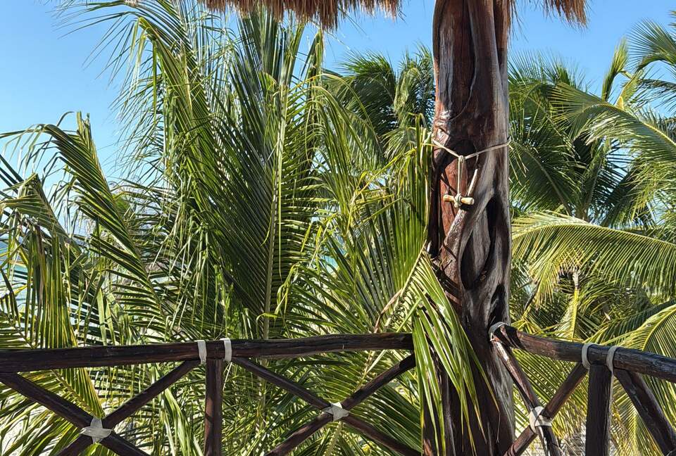 Beach front house with pool in Yucatan - Chicxulub Puerto, Mexico