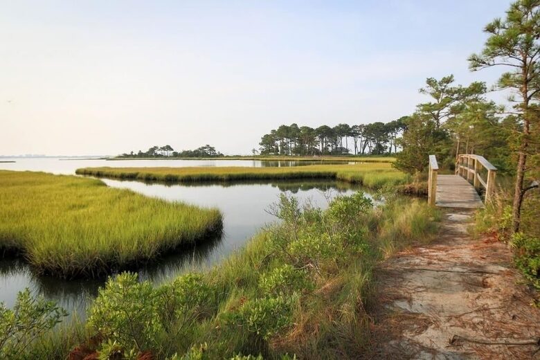 Nature trail, piers on bay for crabbing, restaurant/bar waterfront