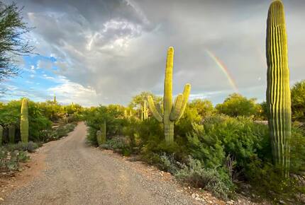 Catalina Foothills Desert Sanctuary - Tucson, Arizona