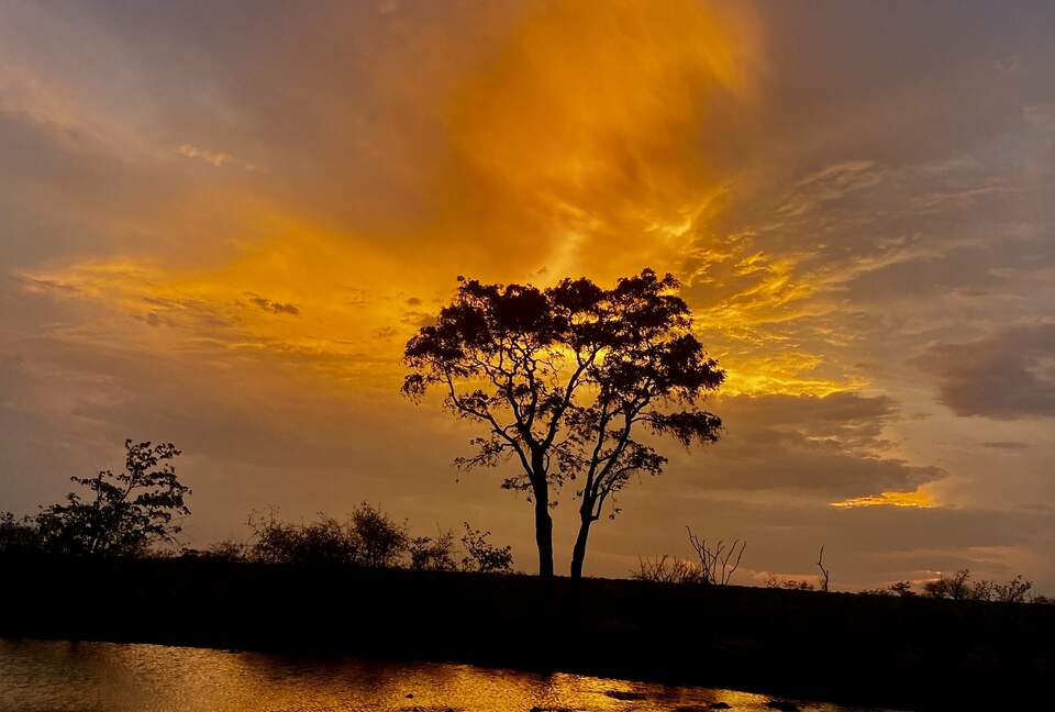 Lubbesrust Boutique Lodge - Tuli Block, Botswana
