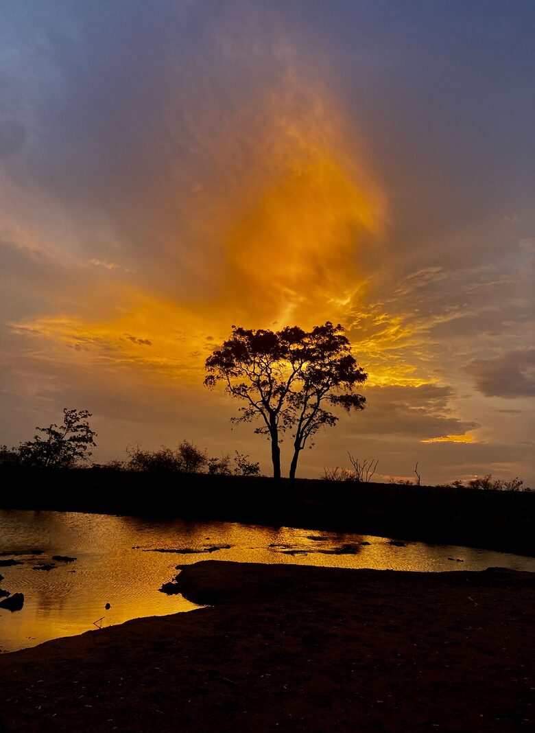 Lubbesrust Boutique Lodge - Tuli Block, Botswana