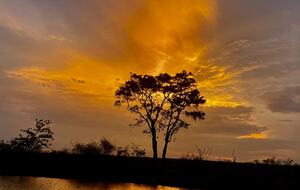 Lubbesrust Boutique Lodge - Tuli Block, Botswana