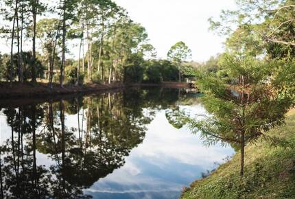 A Quiet Florida Retreat Framed by Trees and Water - Titusville, Florida