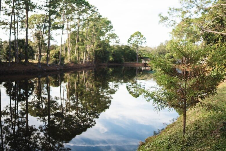 A Quiet Florida Retreat Framed by Trees and Water - Titusville, Florida