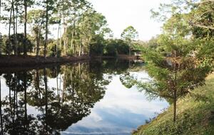 A Quiet Florida Retreat Framed by Trees and Water - Titusville, Florida