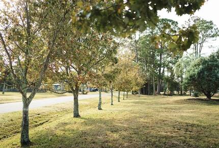 A Quiet Florida Retreat Framed by Trees and Water - Titusville, Florida