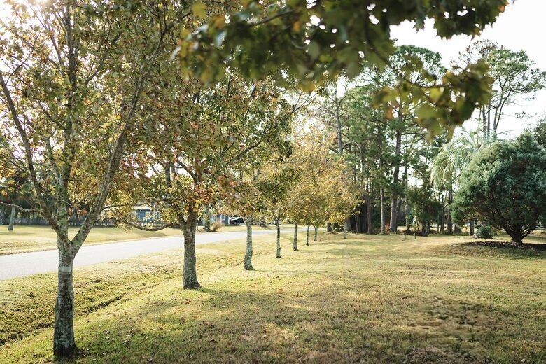 A Quiet Florida Retreat Framed by Trees and Water - Titusville, Florida