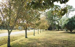 A Quiet Florida Retreat Framed by Trees and Water - Titusville, Florida