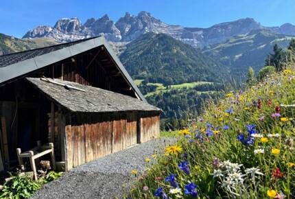 Contemporary Chalet with Dents du Midi Vistas - Champéry, Switzerland