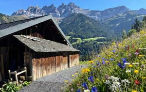 Contemporary Chalet with Dents du Midi Vistas - Champéry, Switzerland