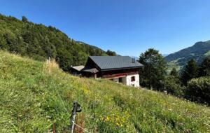 Contemporary Chalet with Dents du Midi Vistas - Champéry, Switzerland