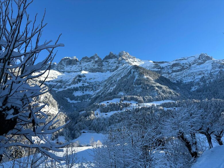 Contemporary Chalet with Dents du Midi Vistas - Champéry, Switzerland