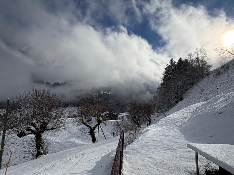 Contemporary Chalet with Dents du Midi Vistas - Champéry, Switzerland