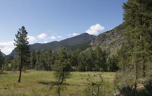 Modern Mountain Retreat with Trailside Access - Mazama, Washington