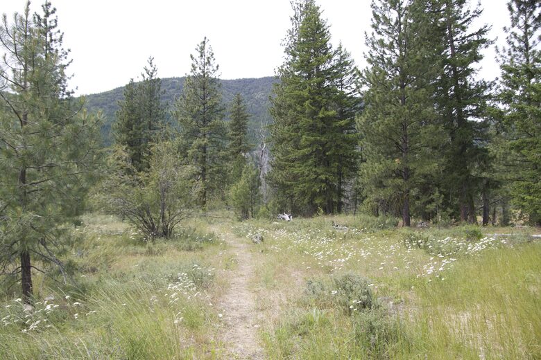 Modern Mountain Retreat with Trailside Access - Mazama, Washington