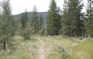 Modern Mountain Retreat with Trailside Access - Mazama, Washington
