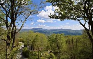 Long-Range View Mountain Retreat in Banner Elk - Banner Elk, North Carolina