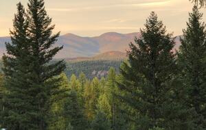 Secluded Forest Guesthouse Near Whitefish - Whitefish, Montana